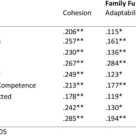 family stroke 2022|Post‐stroke family resilience is correlated with family functioning ...